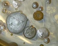 water bacteria water bacteria